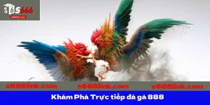 Khám Phá Trực tiếp đá gà 888